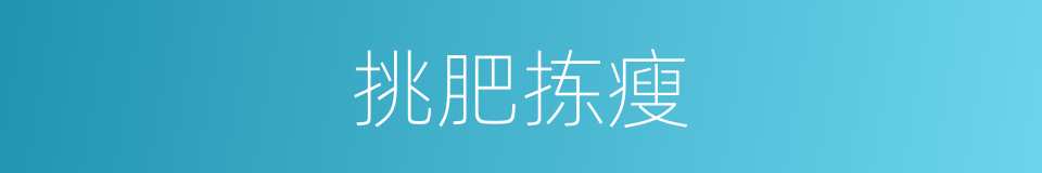 挑肥拣瘦的意思