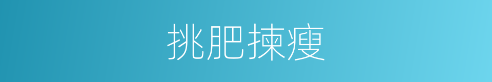挑肥揀瘦的意思