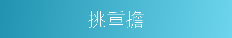 挑重擔的同義詞