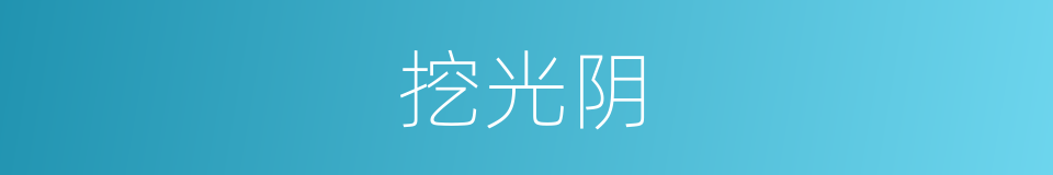 挖光阴的同义词