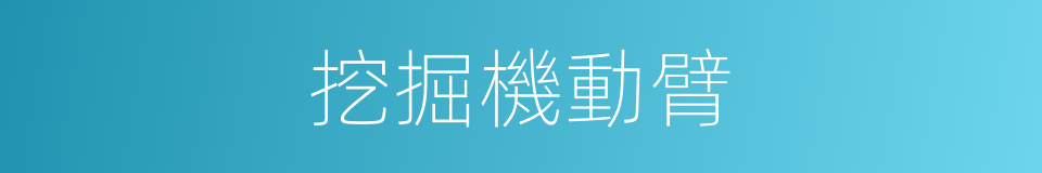 挖掘機動臂的同義詞