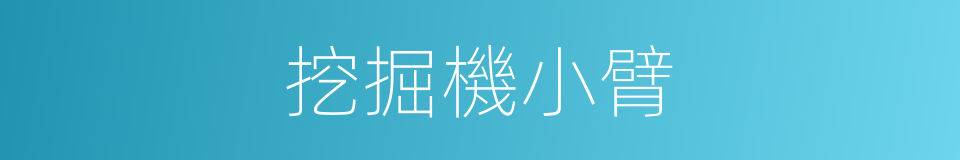 挖掘機小臂的同義詞