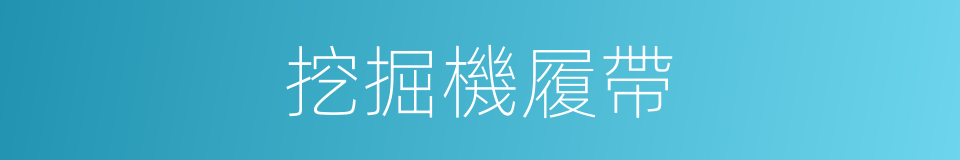 挖掘機履帶的同義詞