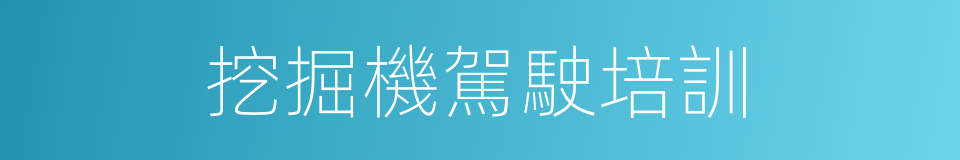 挖掘機駕駛培訓的同義詞