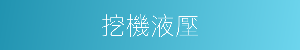 挖機液壓的同義詞