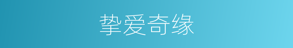 挚爱奇缘的同义词