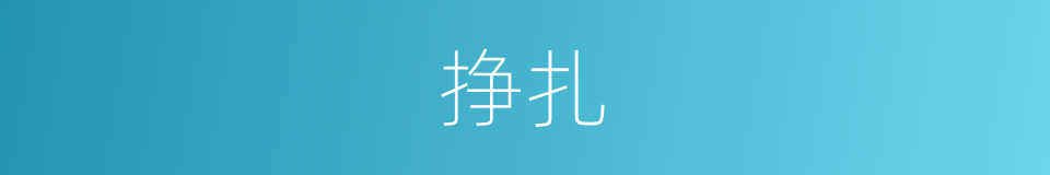 挣扎的意思