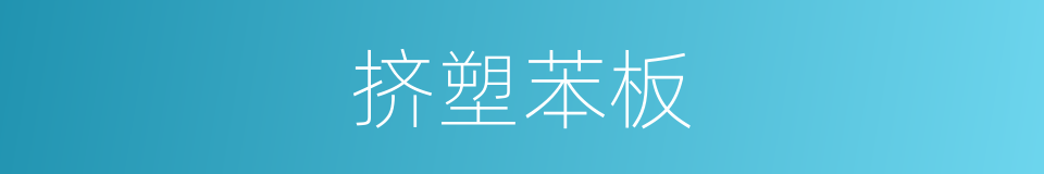 挤塑苯板的同义词