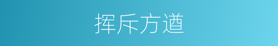挥斥方遒的意思