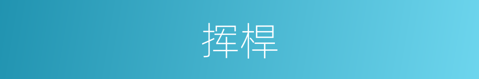 挥桿的同义词