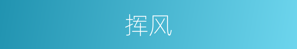 挥风的同义词