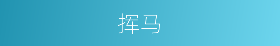 挥马的同义词