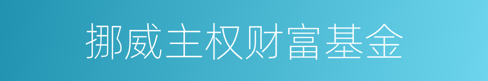 挪威主权财富基金的同义词