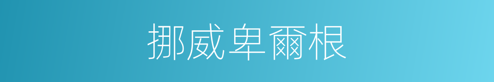 挪威卑爾根的同義詞