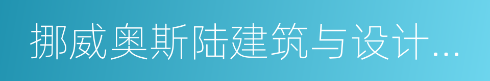 挪威奥斯陆建筑与设计学院的同义词