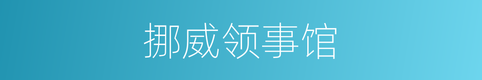 挪威领事馆的同义词