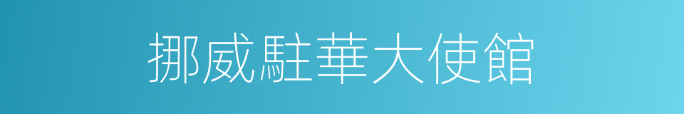 挪威駐華大使館的同義詞