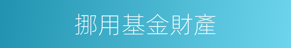 挪用基金財產的同義詞