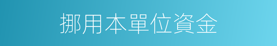 挪用本單位資金的同義詞