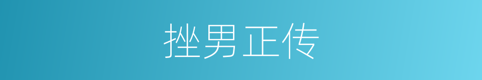 挫男正传的同义词