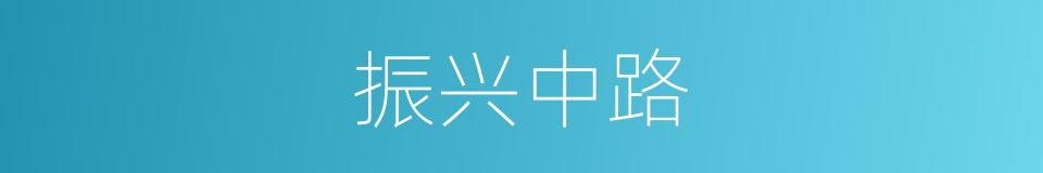 振兴中路的同义词