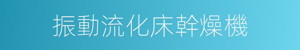振動流化床幹燥機的同義詞