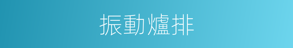 振動爐排的同義詞