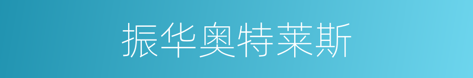 振华奥特莱斯的同义词