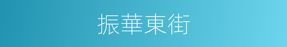 振華東街的同義詞