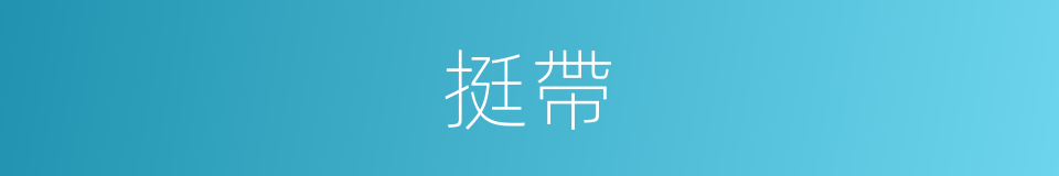 挺帶的意思