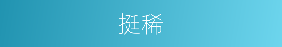 挺稀的同义词