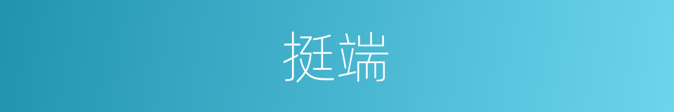 挺端的同义词