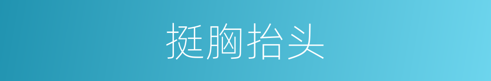 挺胸抬头的同义词