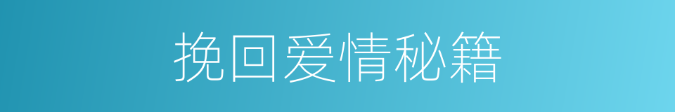 挽回爱情秘籍的同义词