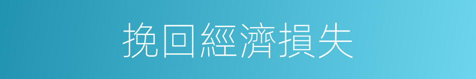 挽回經濟損失的同義詞