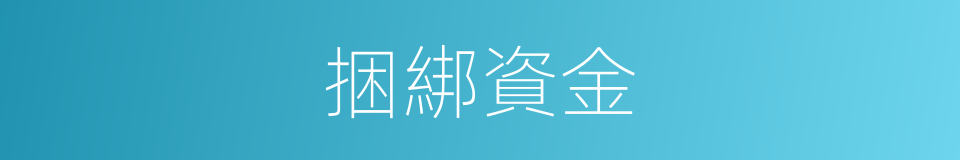 捆綁資金的同義詞