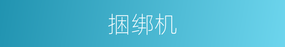 捆绑机的同义词