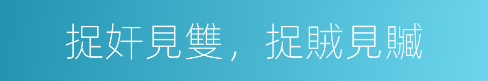 捉奸見雙，捉賊見贓的意思