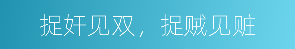 捉奸见双，捉贼见赃的意思