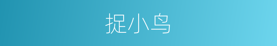 捉小鸟的同义词