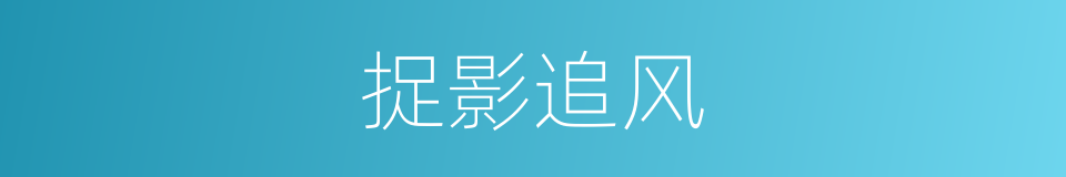 捉影追风的意思