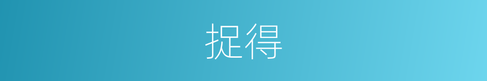 捉得的同义词