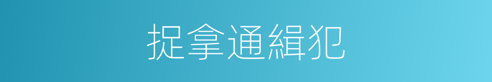 捉拿通緝犯的同義詞