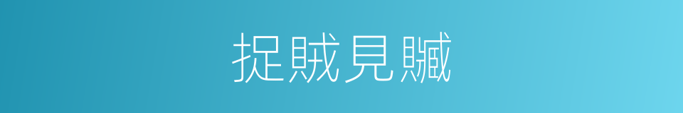 捉賊見贓的意思