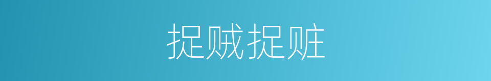 捉贼捉赃的意思