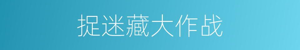 捉迷藏大作战的同义词