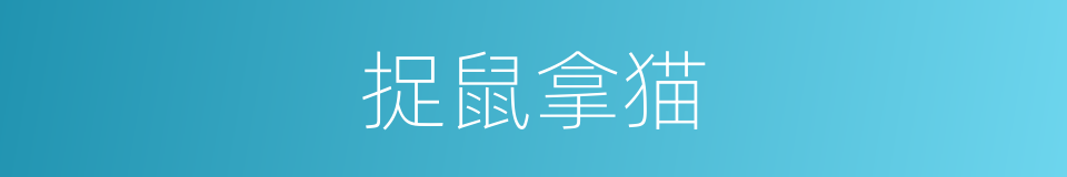 捉鼠拿猫的同义词