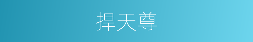 捍天尊的同义词