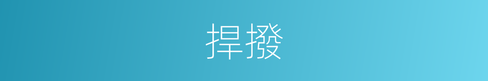 捍撥的意思