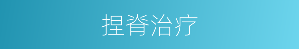 捏脊治疗的同義詞